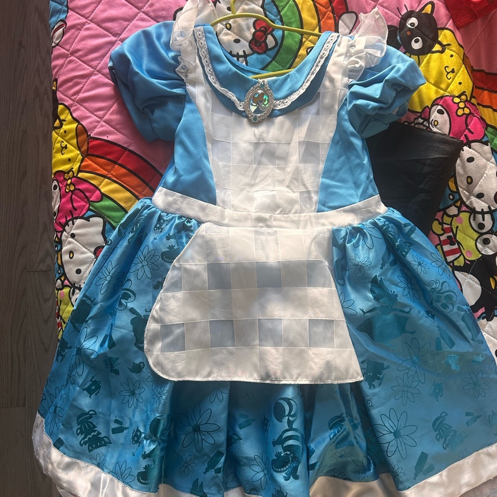 Disney Alice in Wonderland Costume